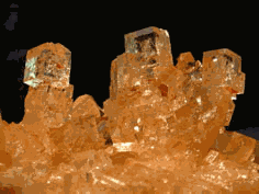 Bild Salzkristall
